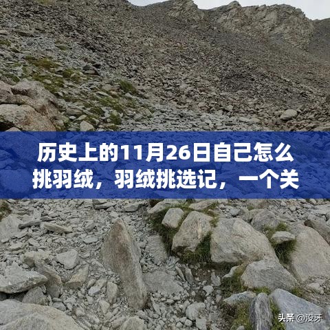 第2704页