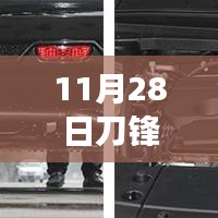 新闻中心 第317页