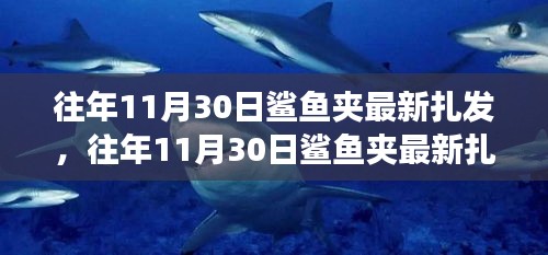 联系我们 第244页