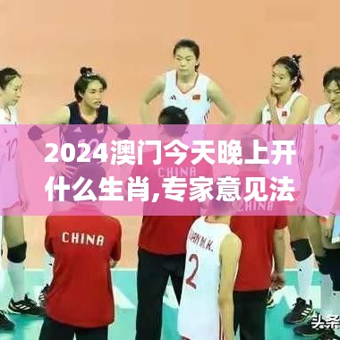 2024澳门今天晚上开什么生肖,专家意见法案_FGI70.353并行版