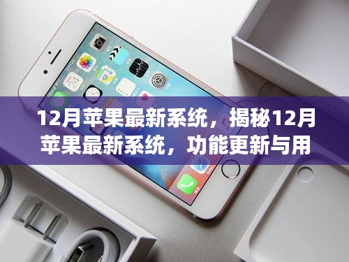 联系我们 第242页