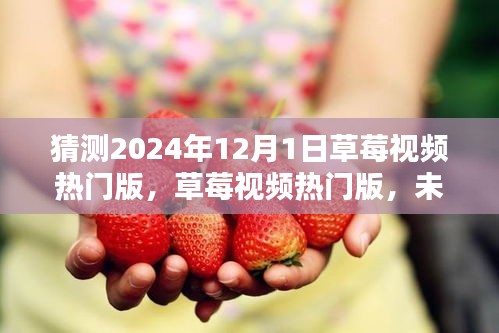 解决方案 第308页