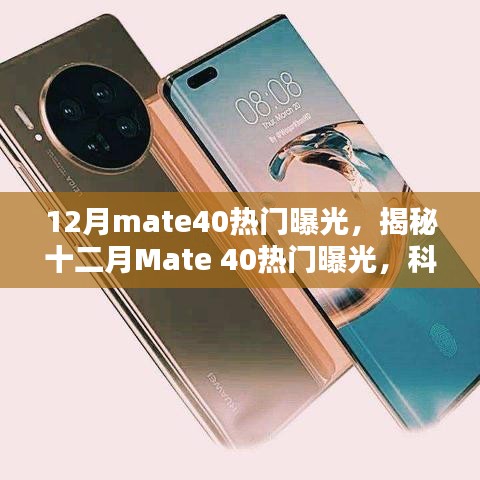 联系我们 第240页