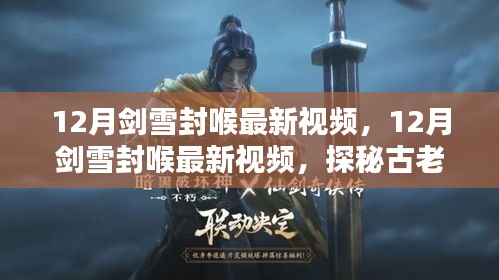产品知识 第240页