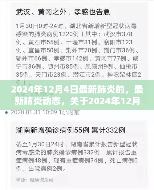 要点解析