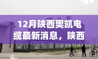 联系我们 第224页
