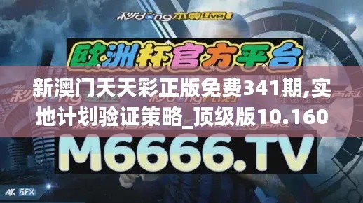 新澳门天天彩正版免费341期,实地计划验证策略_顶级版10.160
