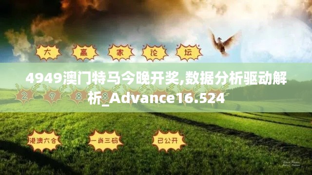 资料中心 第225页
