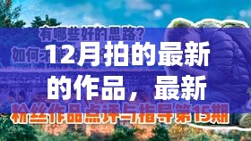 视觉盛宴
