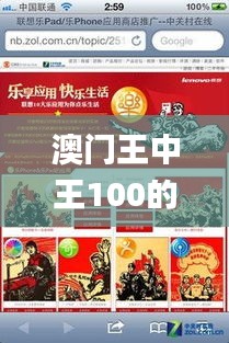 澳门王中王100的资料论坛,全面解答解释落实_苹果款12.938