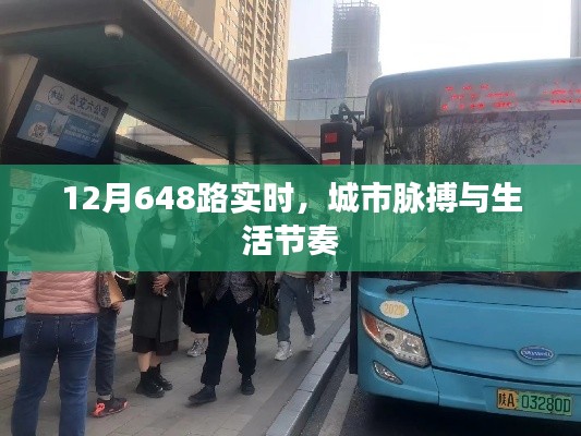 城市脉搏与生活的节奏，12月648路实时动态