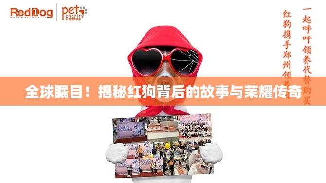 风华绝代 第3页