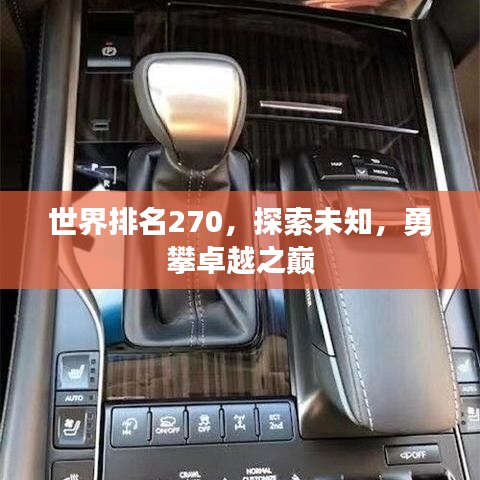 新闻中心 第109页