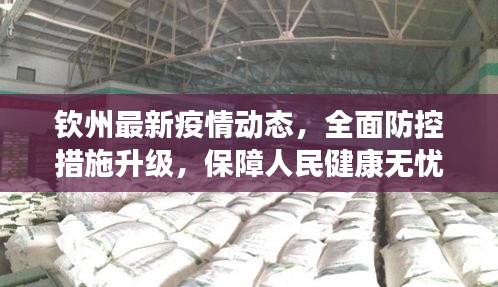 钦州最新疫情动态，全面防控措施升级，保障人民健康无忧