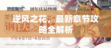 逆风之花，最新章节攻略全解析