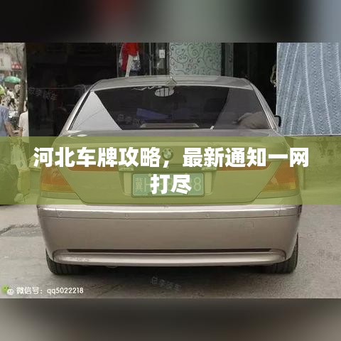 河北车牌攻略，最新通知一网打尽