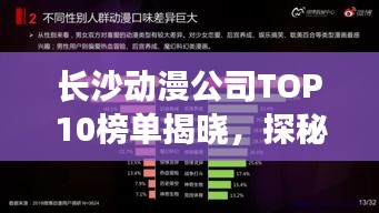 长沙动漫公司TOP10榜单揭晓，探秘行业领军者的魅力排名！
