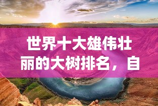世界十大雄伟壮丽的大树排名，自然奇观震撼心灵