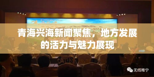 青海兴海新闻聚焦，地方发展的活力与魅力展现