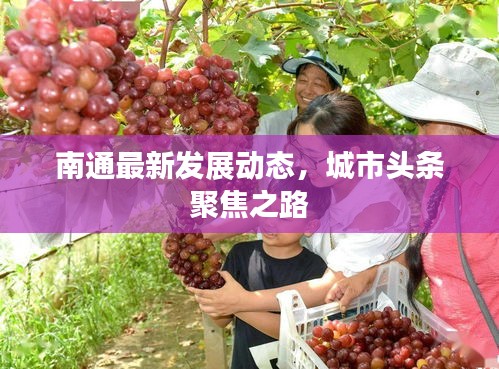 南通最新发展动态，城市头条聚焦之路