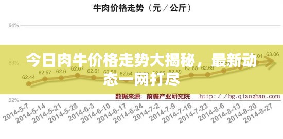 今日肉牛价格走势大揭秘，最新动态一网打尽
