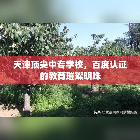 产品中心 第38页