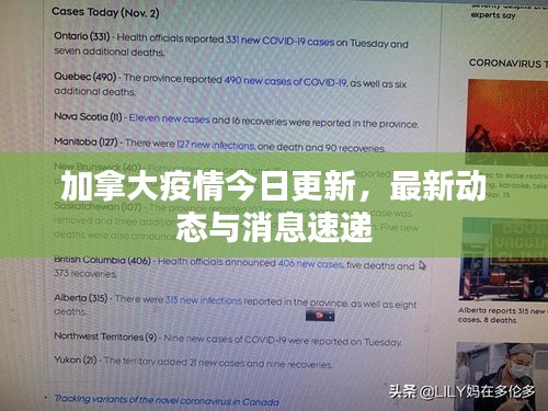 加拿大疫情今日更新，最新动态与消息速递