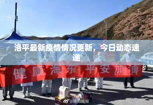 洛平最新疫情情况更新，今日动态速递