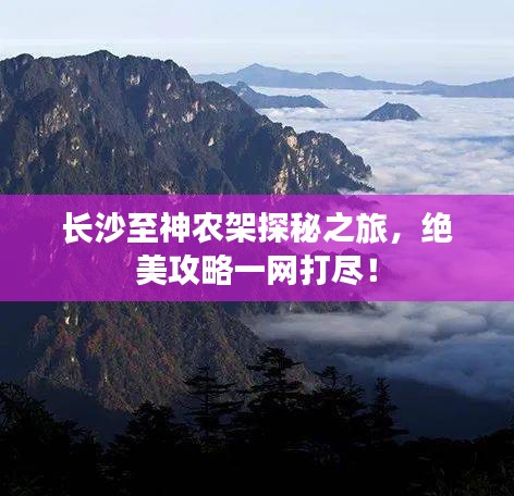 产品中心 第14页