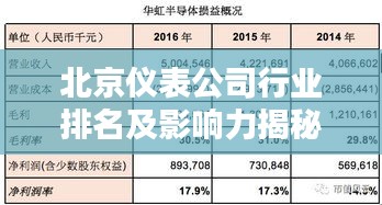 北京仪表公司行业排名及影响力揭秘，深度解析行业巨头榜单