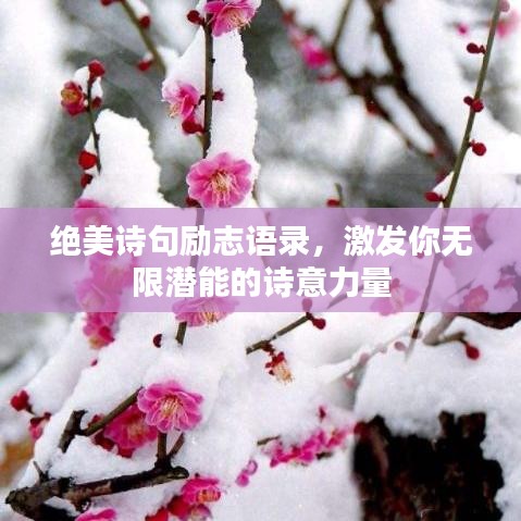 新闻中心 第10页