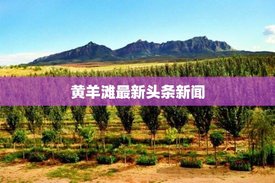 资料中心 第9页