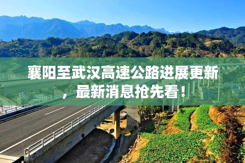 飞来飞去
