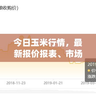 张灯挂彩