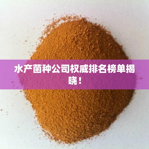 迷离马虎