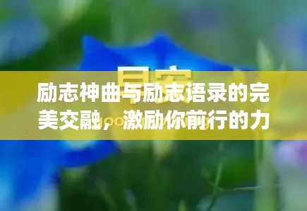 励志神曲与励志语录的完美交融，激励你前行的力量