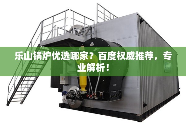 乐山锅炉优选哪家？百度权威推荐，专业解析！
