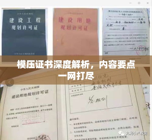 模压证书深度解析，内容要点一网打尽