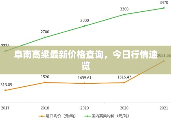 阜南高粱最新价格查询，今日行情速览
