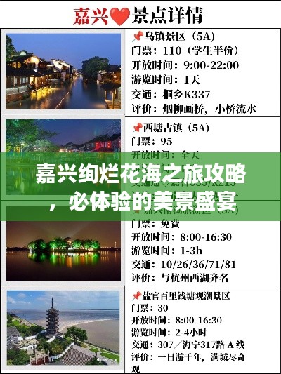 嘉兴绚烂花海之旅攻略，必体验的美景盛宴
