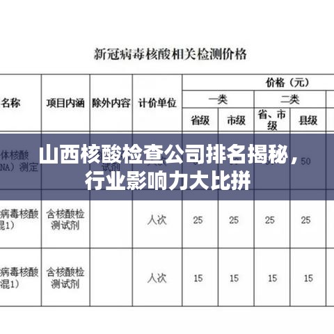 山西核酸检查公司排名揭秘，行业影响力大比拼